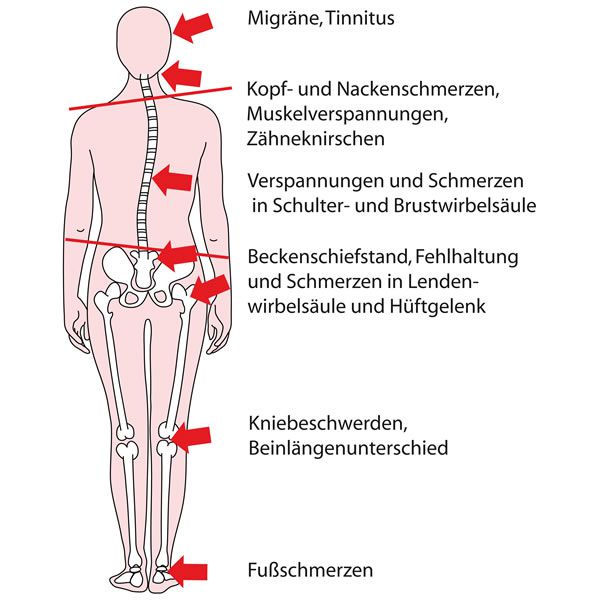 Funktions-/Kiefergelenksdiagnostik